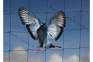 HENRY COWLS Bird Netting For the Garden 10m x 15m 50mm 2" Anti Pigeon Knotted Mesh Heavy Duty Black Net Protection