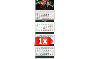 PRIMUS-PRINT.DE PRIMUS PRINT Calendario XXL 2025 – Multiblocco da parete – Calendario da 4 mesi – Calendario annuale a blocchi – con cursore – Include feste e vacanze – diversi motivi – [ 1 x pappagallo ]