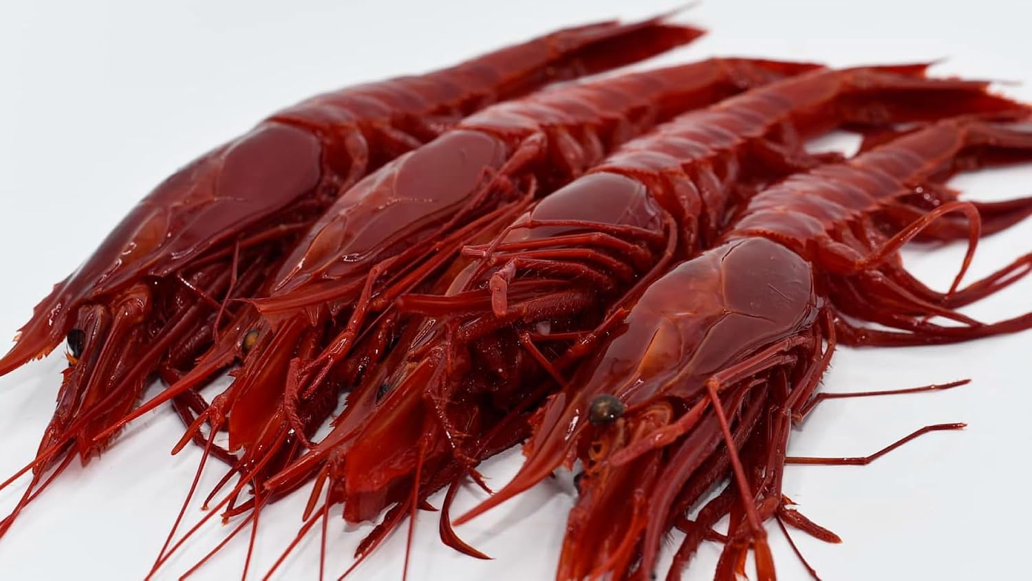 Pescadería Premium - Pescado y Marisco Fresco de Lonja - Cosecha Privada (1 Kg, Carabinero Grande)