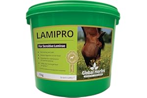 Global Herbs Lamipro Powder 1kg - Clear, 1Kg