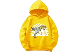 Pilipulu Sweats à Capuche Garçon Sweatshirt de Sport à Capuche Enfant Pull en Coton Dinosaure pour Garçon Hoodie Manches Longues pour Enfants 3-8 Ans