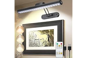 MIOBLUE immagine senza fili con il telecomando, la luce dell'esposizione di arte della batteria Ricaricabile con il telecomando, Dimmerabile/temporizzatore fuori luce della pittura, 3 Modalità di