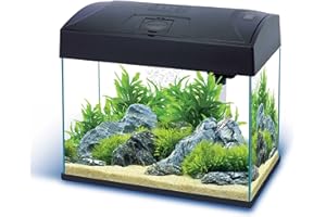 AQUARIUM-PLÜDERHAUSEN Nano-Komplett-Aquarium 20 L, kratzfestes Glas, inkl. Filter, Pumpe,LED-Beleuchtung