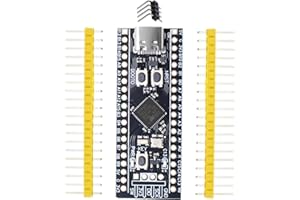 STM32F401 Carte de Développement RUIZHI STM32F401CCU6 STM32F4 Planche de Développement Robuste 32F4 Core 84 MHz 64 KB RAM 256 KB Compatible avec Arduino