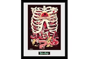 GB eye LTD, Rick et Morty, Anatomy Park, Photographie encadree 30x40 cm