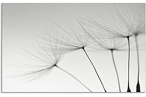 ARTland Spritzschutz Küche aus Alu für Herd Spüle 80x50 cm (BxH) Küchenrückwand mit Motiv Blume Pusteblume Landschaft Natur Zen Modern Hell Grau T5SQ