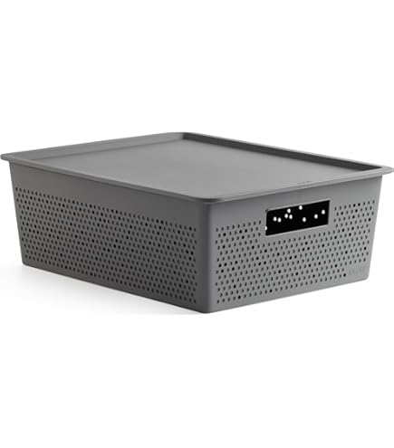 Storage Box Baobab, 22L Capacity, Polypropylene, BPA , Mist Blue Measures 29 4 X 38 5 X 23 Cm 77df4ba0 C864 4b97 B359 B4d632a86907.f53e16b135c317d22e7dec6583335e54