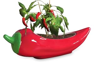 BUBBLEGUM STUFF Red Hot Chili Planter – Glazed Ceramic Chili Pepper Plant Pot for Indoor Gardening – Fun & Spicy Gift for Plant Parents and Chili Lovers – Unique Indoor Planter for Herbs, Houseplants & Peppers