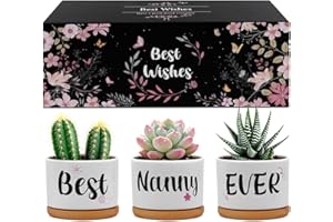 Belillpipi Nanny Gifts, Nanny Christmas Birthday Gifts - Unique Succulent Planters Best Nan Ever, Present for Nan from Grandchildren on Christmas Birthday Mother's Day