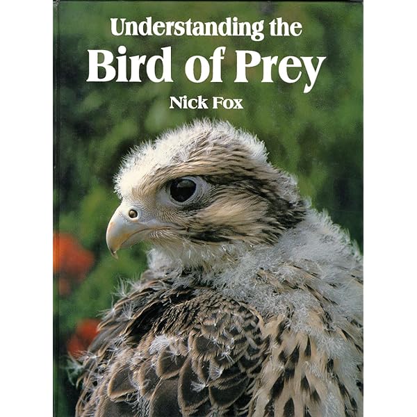 Training Birds of Prey: Amazon.co.uk: Parry-Jones, Jemima
