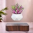 Ekhasa White Magnetic Levitating Flower Pot | Levitating Plant Pot | Floating Plant Pot | Magnetic Pots for Plants | Magical Rotating Flower Pot | Magnetic Planter for Plants (Plant NOT Included)