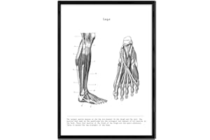 Nacnic Affiches anatomiques. Décoration murale de style vintage des jambes, des muscles et des os. Assortiment de photos en noir et blanc de l'anatomie humaine et des parties du corps. Taille A3.