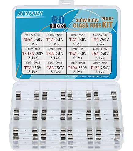 Lot De 10 Fusibles Lents 2A, 6x30 Mm, En Verre, 250V - Pour Appareils électriques Et électroniques - 8
