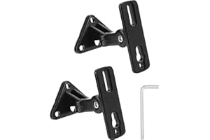 QWORK® Set di 2 supporti da parete universali per altoparlanti Scatole di montaggio a parete, inclinazione/rotazione di 180º, supporta fino a 13,6 kg