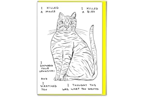 Oficjalna David Shrigley - zabawna zabawna zabawna kartka urodzinowa - 'I Killed A Mouse - idealna dla najlepszych przyjaciół kolegów dla niego jej chłopaka dziewczyny - autorstwa Brainbox Candy