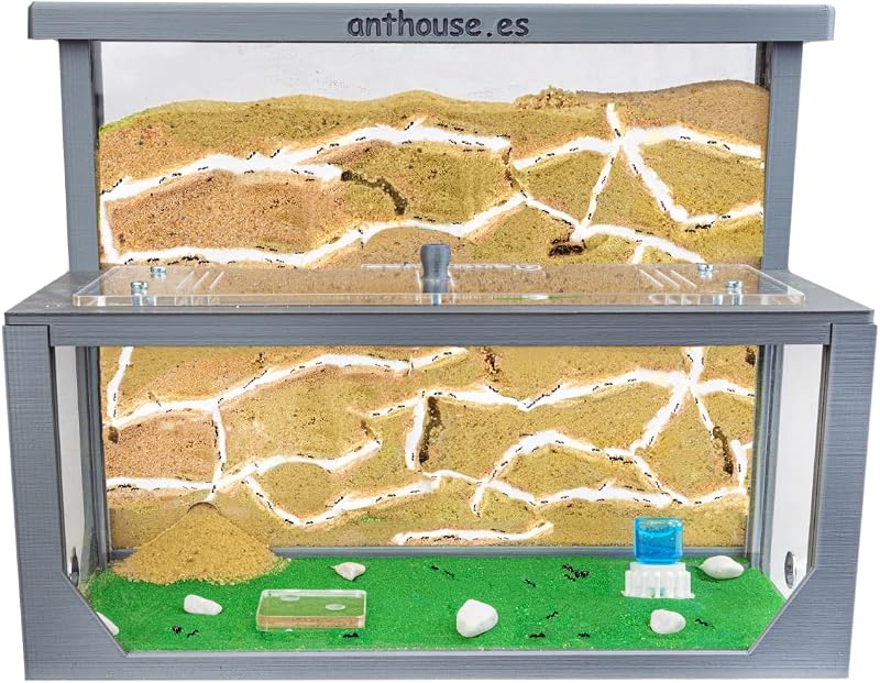 AntHouse - Natural sand ant farm 3D - Model L (sandwich + feed box) Gray