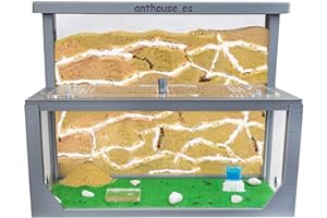 AntHouse - Natürliche Ameisenfarm aus Sand 3D | Modell L (Sandwich + Futterbox) Grau | Ant Farm | Inklusive Ameisenkolonie