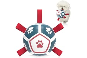 HETOO Piłka dla psa