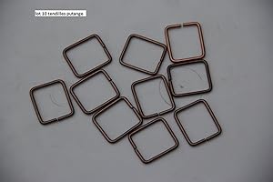 TRAPGALLIER Lot de 10 tendilles carré pour piège putange