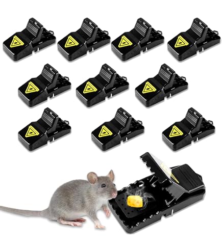 Pièges à Souris Vivants, Réutilisables Efficaces Piège À Souris, Piège Pièges à Souris Vivants, Réutilisables Efficaces Piège À Souris, Piège