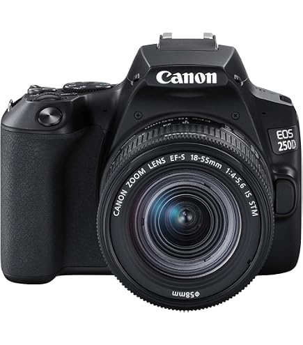 【美品】Canon EOS 800D（海外版）☆シャッター回数わずか1331回 Canon EOS 800D DSLR with EF-S 18-55 mm f/4-5.6 IS STM - Black