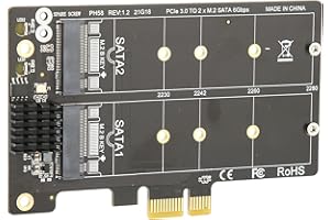 DILWE Adattatore Dual M.2 PCIE, Scheda Adattatore M.2 SATA a PCI‑E Scheda Dual Disk Array Supporto per Scheda di Espansione della Stabilità di Trasmissione PCI-E X1 / X4 / X8 / X16