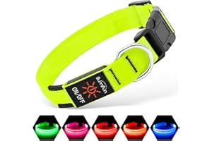 Illumifun Light Up Dog Collar, USB Rechargeable LED Dog Collar Glow in the Dark, Adjustable Pet Collar Safety Dog Lights for Night Walking (Green, Medium)