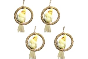 CAMITER Vogelspielzeug, Seilring, Sitzstange, Vogelschaukel, Käfig-Hängespielzeug, Langeweile, Breaker für Wellensittiche, Nymphensittiche, Sittiche, Finken, kleine und mittelgroße Vögel, 4 Stück