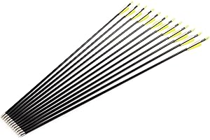 SUREPROMISE ONE STOP SOLUTION FOR SOURCING SurePromise Archery Fiberglass Arrow 12 PCS Field Point Target Practice 28" 30" 32"