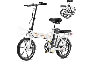 EVERCROSS Bicicleta Eléctrica para Adultos, 16"/20" Neumático Gordo Bici Eléctrica, Motor de 250W, hasta 25KM/H, 36V/48V Batería Extraíble Bicicleta de Montaña, Nieve Montaña Ebike
