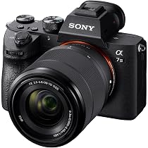 Custodia Rigida RAIACE Per Sony Alpha 7 II/III/IV/7R V E Altre Mirrorless – Con Tasca A Rete, 3 Divisori E Tracolla - 3