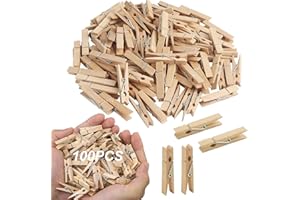 QTTVBTNA 100 Stück Mini Wäscheklammern 2.5cm Mini Holzklammern Klein, Mini Wäscheklammern Holz Klein Holzklammer Deko Klammern, für Fotowand Notizen und DIY-Projekten
