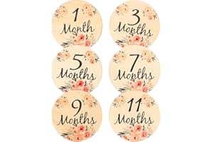 Hohopeti 6 Pcs Milestone Card Baby Monthly Card Monthly Photo Card Baby Milestone Discs Baby Announcement Card Commemorative Baby Card Photo Props Baby Sign Wood Journey Commemorate Newborn