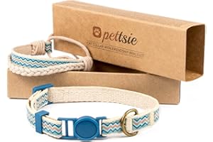 Pettsie Bracelet de sécurité et d'amitié pour Chat 100% Coton Durable pour Plus de sécurité, Facile à régler, Anneau en D pour Accessoires, boîte Cadeau Incluse, (12,7-20,3 cm, Bleu)