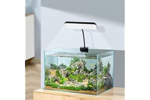 boxtech Illuminazione per acquario, luce a LED a spettro completo, piccola lampada a clip per acquario, 13 W, colore bianco, per serbatoi da 5 a 10 galloni
