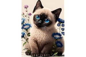 EOBROMD 5D Diamond Painting Kit Completo, Gatti Pittura Diamante FAI DA TE, Animali Diamond Painting Bambini Adulti, Strass Ricamo a Punto Croce Painting Decorazione per Casa 30x40cm