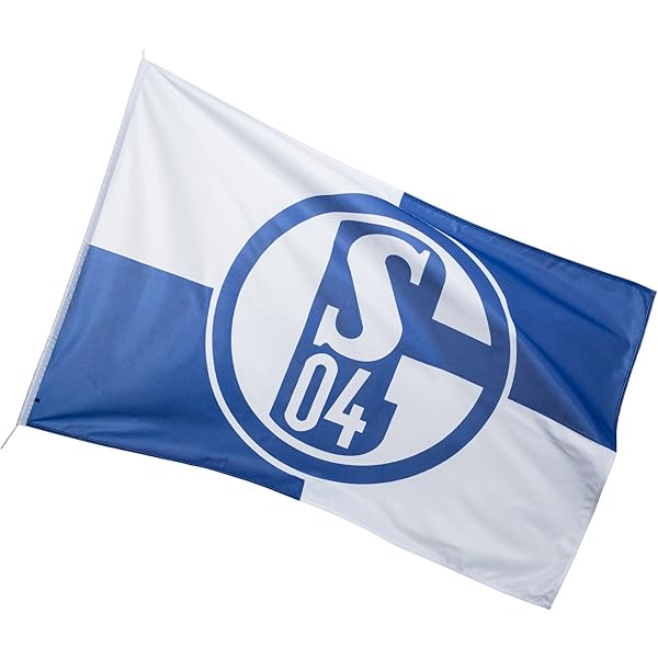 Kaatvekoop Schalke 04 - FC Twente gestat | Twenteinsite.nl
