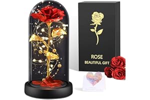 BOLEi Rose Eternelle Cadeau pour Femmes, Rose sous de La Belle et La Bête, Rose Rouge avec LED, Cadeau Saint Valentin pour Femme,Cadeaus Noel pour Elle, Maman Épouse Sœur,Anniversaire Femme