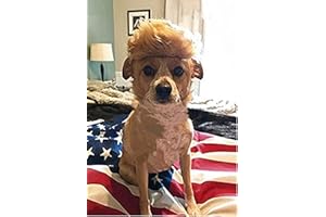 MESINURS FMJI Trump Style Dog Wig Pet Costume Donald Cat Wig Headwear for Halloween, Christmas, Parties, Festivals