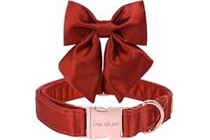 Unique style paws Hundehalsband aus Seide, einstellbar, langlebig, mit Schleife, Hochzeitsfliege, Halsband für kleine Welpen und Katzen, Größe S, Mandarine