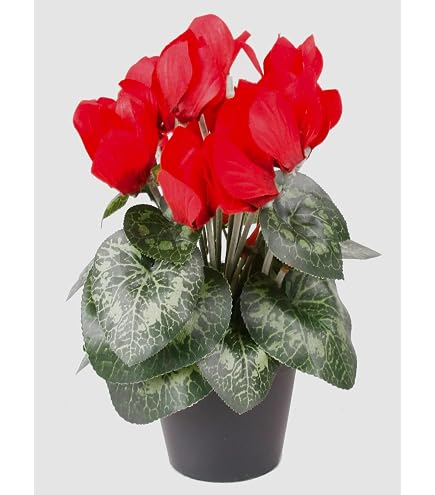blumenksten kunststoff reinigen Rechteckiger Blumenkasten fr auen