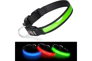 Benxdara Light Up Dog Collar USB Rechargeable, Adjustable LED Dog Collar with 3 Lighting Modes for Small Medium Large Dogs Walking for the Dark Safely - Light Green - M