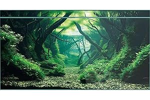 Didooou Sfondo naturale per acquario, sfondo acquario, adesivi per acquari, 30 cm, 40 cm, 50 cm, 60 cm, 80 cm (foresta acquatica 1, 30 x 50 cm)