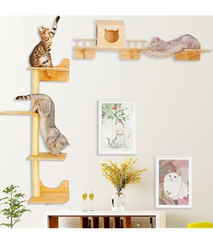 Vind katten klim in Katten-accessoires op