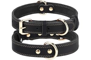 Joytale Skórzana obroża dla dużych psów - miękka, trwała i regulowana - czarna, L