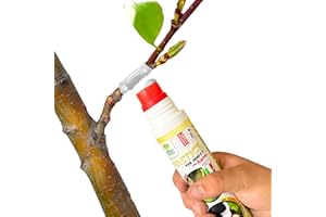 Albagarden - Mastice Per Innesti E Potature + Con Rame + Pasta Cicatrizzante per Tagli e Ferite su Piante Alberi Arbusti e Bonsai - Tubetto Pronto Uso X 250 gr