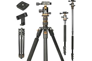 ZOMEi 196cm Camera Tripod Travel Aluminium Monopod Heavy Duty Tripod Stand with 360° Ball Head, Carrying Case, Phone Holder Perfect for Video Shooting/Selfies/Live Stream/Vlogging(Gold)