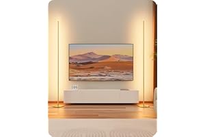 ‎EDISHINE EDISHINE 2 Stück Stehlampe Wohnzimmer, LED Stehlampe Dimmbar, 3000K warmweiße Stehleuchte mit Memory-Funktion, höhenverstellbar 146 cm, moderne Standleuchte für Schlafzimmer und Büro, Gold