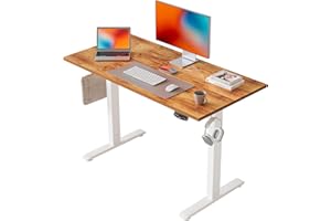 Agilestic Biurko z regulacją wysokości 100 x 60 cm, stabilne biurko z elektryczną regulacją wysokości, ergonomiczne biurko do pracy na stojąco lub siedząco, jasnobrązowy