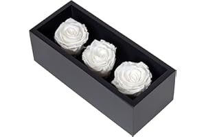 KHIVA Preserved Roses in Wood Box, 3 White Birthday Flowers for Delivery Prime, Everlasting Flowers, Natural Forever Roses That Last for Years, Eternal Rose, Gift Delivery for Mum